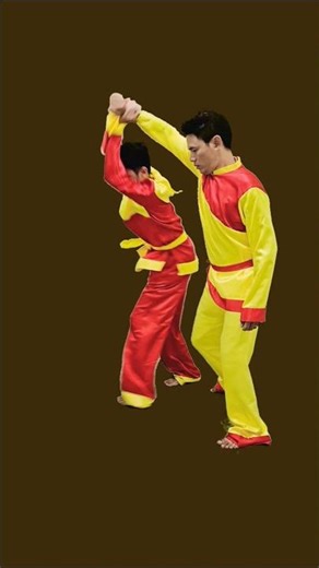 Part 87 martial arts motivation video #kungfufight #skills #martialarts [ SenCre ]