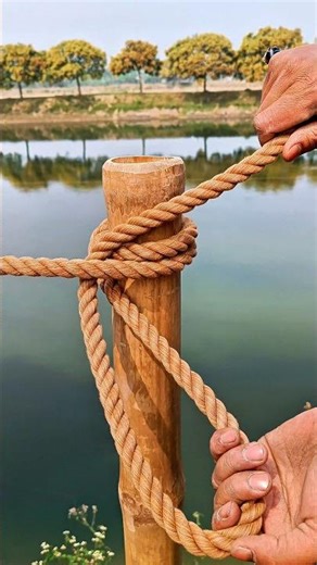 This Knot is Smarter Than You Think 🧠