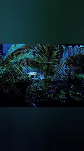 What is your rating? #photography #dreamcore