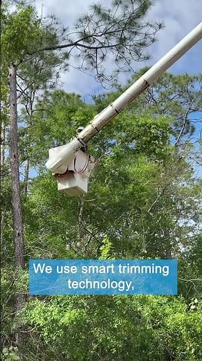 Smart trimming