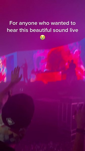 Hybrid minds Creamfields 2021🤩 #dnb #creamfields2021 #festival #fyp