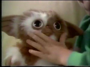 Do you remember the Gizmo doll? Check out this Gremlins TV spot from 1984! | Dueling Decades