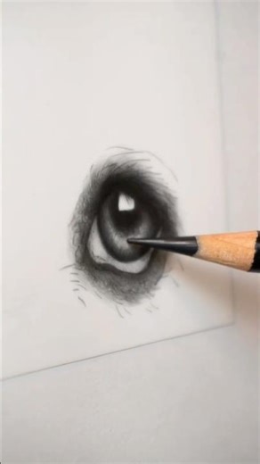 Melhore as suas pinturas treinando a pressão da mão. #eyedrawing #coloredpencil #petportrait