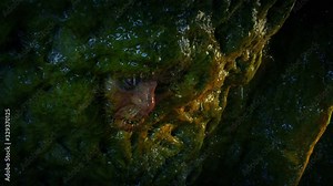 Man In Slimy Alien Cave Wall