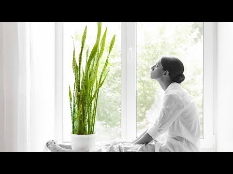 Relajación Guiada. Aprende a relajarte de forma autógena con el método de Schultz.