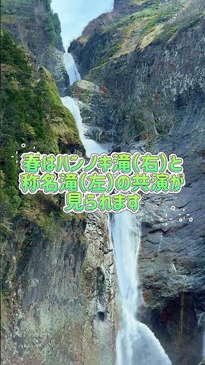 大迫力の絶景‼︎称名滝✨ #称名滝 #ハンノキ滝 #落差日本一 #絶景 #観光 #富山旅行 #toyama #tateyama #japan #shomyo falls #trip #nature