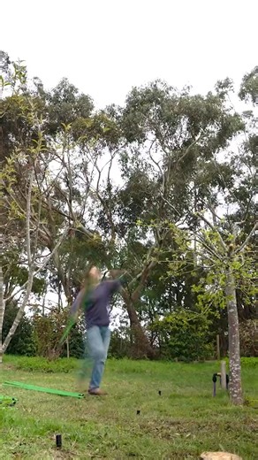 5K views | Tired of birds stealing your fruit? Nothing works to keep them out 梁 Flexi Garden Frames will, that is what they were designed to do 朗 Easy to set up and to put netting over, you can now easily net it all, and grow and harvest in peace. | Flexi Garden Frames | Facebook