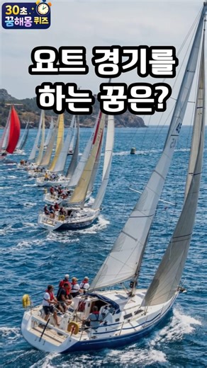 요트 경기를 하는 꿈은? (30초꿈해몽퀴즈) #꿈풀이 #꿈해석 #해몽 #꿈뜻 #꿈의의미 #지식