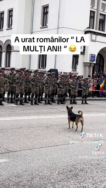 Videoclipuri postate de OPUS MAGNUM 13 (@opus.magnum.13) cu sunet original - OPUS MAGNUM 13