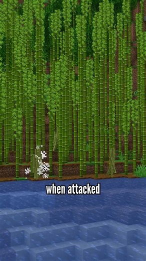 What if there were creaking variants¿ | Mogswamp