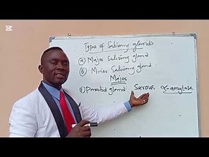 👉 “What Really Happens in Your Mouth During Digestion?”