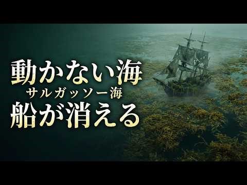 動かない海｜船が消える“サルガッソー海”と静寂の地獄