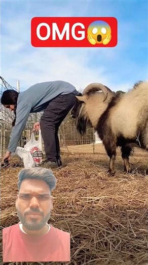 Top Tech Learning Tools for Enthusiasts🔥@ILYABORZOV #shorts #viralshorts #shortsfeed