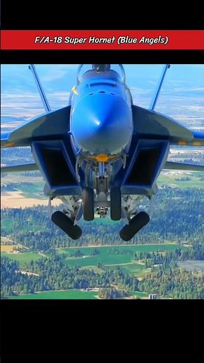 F/A-18 Blue Angels Dazzle with Precision Gear Deployment!