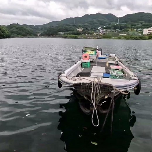 【R6.5.26】相模湖 島田湖 オカッパリ ダウズスイマー∞240 8の字💪 #fishing #daiwa #バス釣り #jackall #釣り #bassfishing #ダウスイ #秦拓馬
