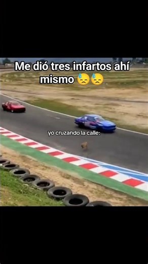 Cuándo cruzo la calle 🐶🤣 #viralvideo #dog #funny #perros