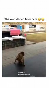 36K views · 408 reactions | Bhut bhayankar ladai  . Dmf© | That's Engineering | Facebook