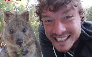 Meet a Quokka - My Stylist and Chef