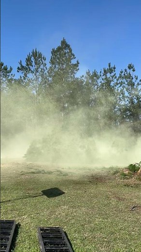 Hayfever Sufferer's Worst Nightmare