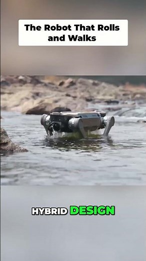 Robot with Wheels and Legs Conquers Water & Land FAST!