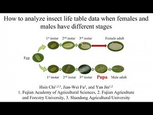 04 how to analyze life table with different stages (English)