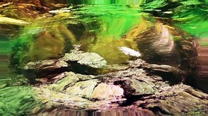 51 Moving Background Video Effects for Edits KineMaster Premiere Pro After Effetc Edits YouTube