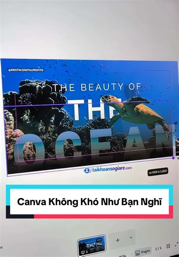 Thiết kế không khó như bạn nghĩ khi có Canva. Nhận Canva Pro miễn phí? Comment “MÌNH MUỐN” tớ gửi nhé🎁 #canva #canvadesign #taikhoancanvapro #canvapro