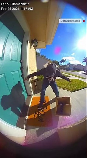 Glitter Bomb Revenge: Porch Pirate Caught on Door Cam