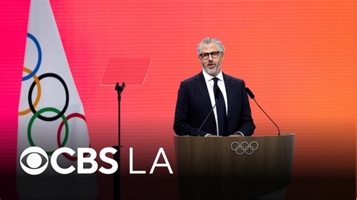 LA Olympics chairman Casey Wasserman urged to resign after emails released in Epstein files