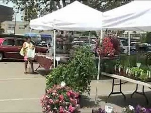 Anneli Johnson at Quincy Farmers' Market