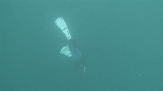 7.4K views · 49 reactions | Au programme : nage, apnée… et fous rires...