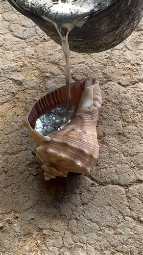 Relaxing snail shell casting process 🐌 #asmr #DIY #shorts