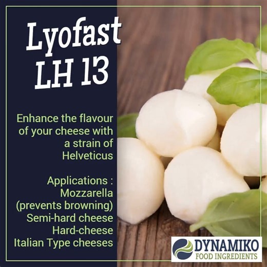 🧀 Did you know that Lactobacillus helveticus is a key bacteria used in cheesemaking? This probiotic strain helps create delicious and creamy cheeses! We also add it to Cheddar Cheese for faster ripening and more diacetyl flavour coming through. #LactobacillusHelveticus #Cheesemaking #Probiotics 🌿 Contact order@dynamiko.co.za or WhatsApp 063 669 1805 | Dynamiko Food Ingredients
