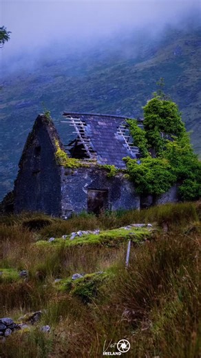Visit-Ireland.ie on Instagram: "The Black Valley or Cummeenduff (from IrishCom Uí Dhuibh, meaning ‘Black Glen’) is a remote valley at the southern end of the MacGillycuddy’s Reeks mountain range in County Kerry, Ireland, situated south of the Gap of Dunloe and north of Moll’s Gap; it is used as a southerly access into the Gap of Dunloe. #theblackvalley #cokerry #ringofkerry #gapofdunloe"