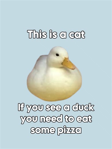 Eat some pizza please🤤