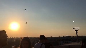 Beautiful afternoon with Mihai Pol at the WISE party 💛 video: radubuzdugan | Grainy