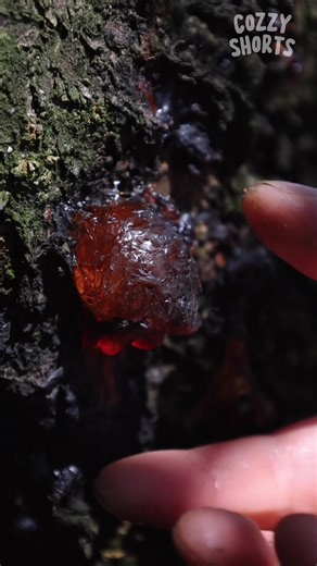 #armylover #foryoupagе #viral_video #fypviralシ #1million | BTS Army