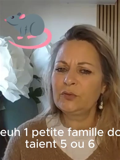 Dans cette vidéo, je vous partage une communication intuitive ✨ réalisée uniquement à partir de l’énergie d’un endroit 🌀, un garage dans lequel des rats 🐀 s’étaient installés. Comme pour une communication avec un animal domestique 🐾, le processus est exactement le même. Les animaux, quels qu’ils soient 🐾🐎🐀🐦, se connectent avec beaucoup de justesse, de finesse ✨ et surtout avec une profonde bienveillance 🤍. Ils viennent toujours transmettre des messages 💬, mais aussi des petits tips préc
