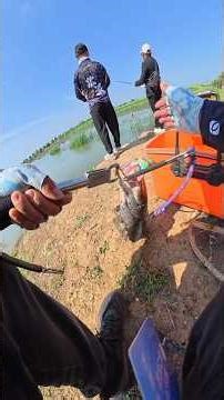 Quiet Cast, Smooth Snakehead Hook 🎣✨