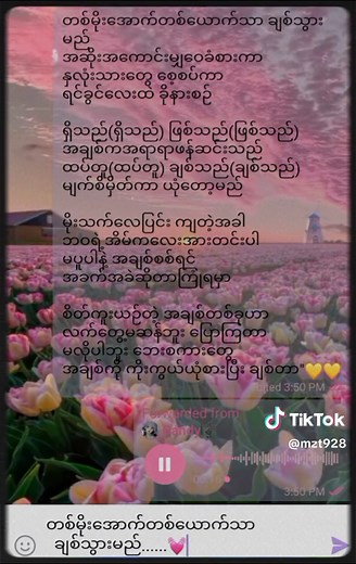ရှိသည်ဖြစ်သည်ချစ်သည် Lyrics - ချမ်းချမ်း