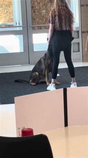 K9 Kaiser and Brittany working hard at a Cognition Training #dogtraining #Trails2Obedience