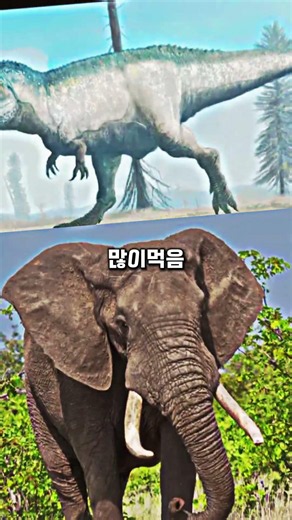 기가노토사우루스vs아프리카 코끼리 (!거대 육식 공룡과 거대 초식 동물들의 대결!) #공룡 #동물 #기가노토사우루스 #아프리카코끼리
