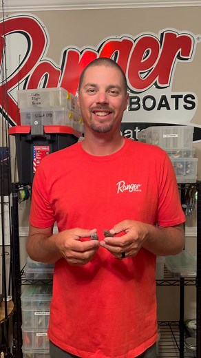 2K views · 66 reactions | Tip Tuesday!! Springtime is my favorite time of year to whip out the swim baits. One of the most popular is the Magdraft but I think their is better options. The line through from @gettoswimmin you can reel faster and cover more water without the bait rolling over. The 5inch is my favorite as it catches all sizes!! | Alex Davis | Facebook