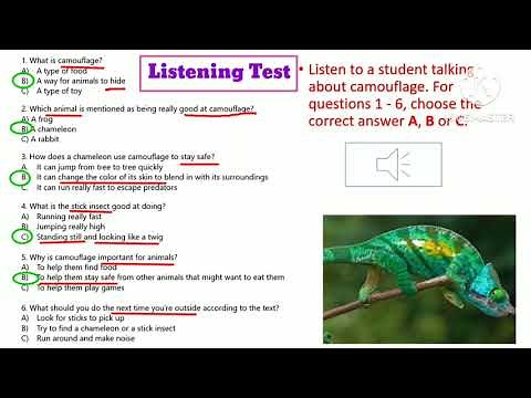 English Listening Test for Grade 6