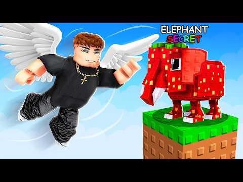 ROBLOX FLY FOR BRAINROTS..