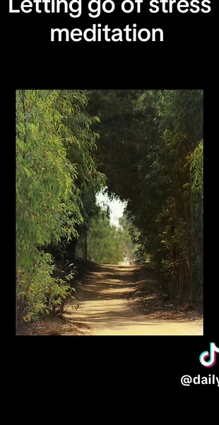 Daily Inner Calm on TikTok