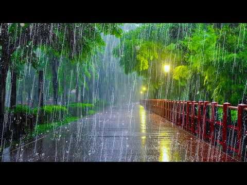 Goodbye Insomnia & Stress Relief with Natural Rain and Thunder on an Empty Road at Night