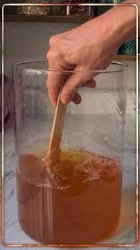 🧫 Create a SCOBY from SCRATCH without buying anything! #Shorts #scoby #Kombucha #Fermentation