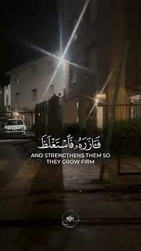 Beautiful Quran Reading English Meaning for Understanding #QuranRecitation #English #Faith #quran