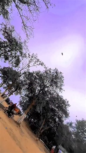 Monika Kumari on Instagram: "School se toke chaho na...🥰🫶"